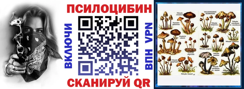 kraken вход Электроугли Галлюциногенные грибы Magic Shrooms
